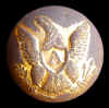 Dug Eagle A.JPG (69375 bytes)